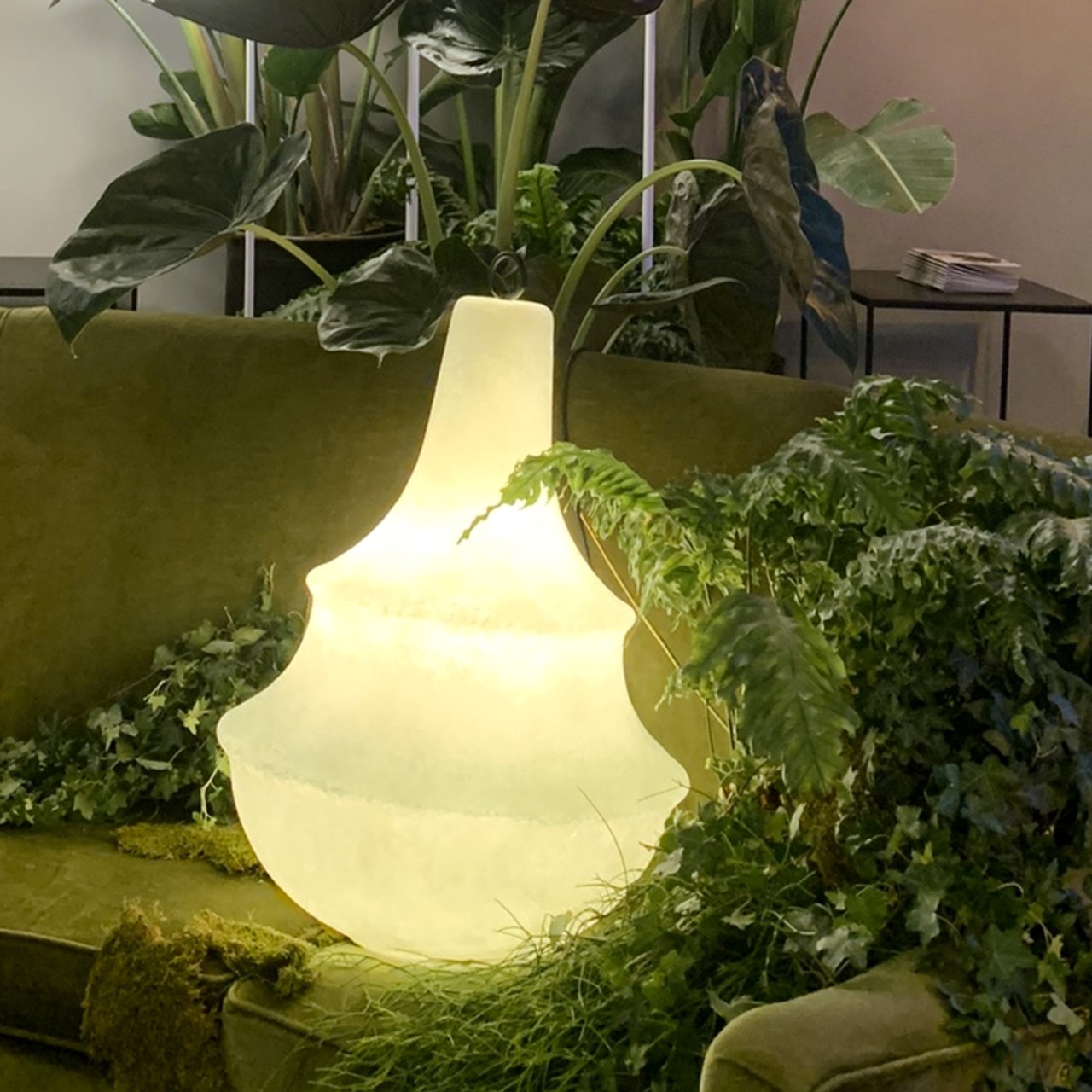 lampada con piante