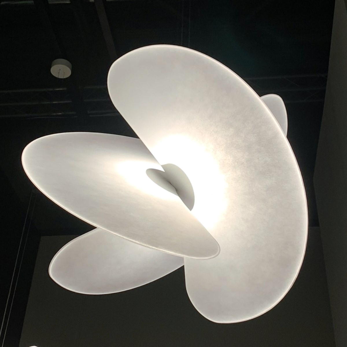 148 2024 01 17 Articolo Tendenze 2024 16